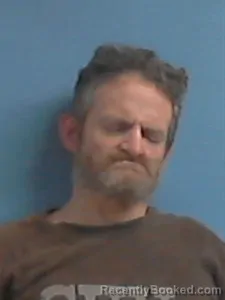 Mugshot of Leslie GENE WALLIS booked in Stone County, Arkansas on April 29, 2026