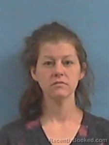 Mugshot of Danielle Nicole Porter booked in Stone County, Arkansas on May 4, 2026