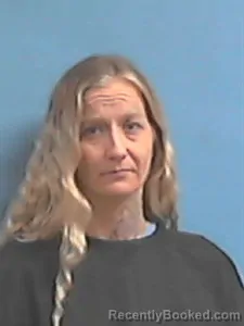 Mugshot of Brandy Marie Robinson booked in Stone County, Arkansas on May 16, 2026