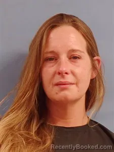 Mugshot of Taylor Jean Rainey booked in Stone County, Arkansas on June 1, 2026
