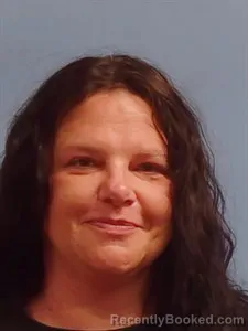 Mugshot of Roxann LOUISE SPARKS booked in Stone County, Arkansas on June 3, 2026