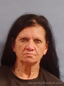Mugshot of Tina Jo Anderson booked in Stone County, Arkansas on July 9, 2026