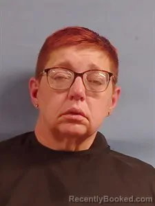 Mugshot of Kristy Ann Traylor booked in Stone County, Arkansas on July 13, 2026