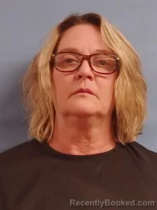 Mugshot of Darlene Elizabeth Powell booked in Stone County, Arkansas on July 25, 2026