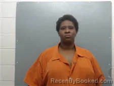 Mugshot of Chelsea Stewart booked in Union County, Arkansas on April 17, 2026