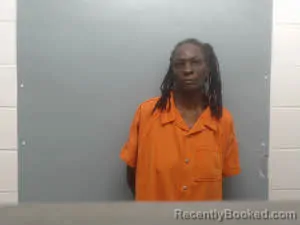 Mugshot of KIMBERLY BROWN booked in Union County, Arkansas on June 13, 2026