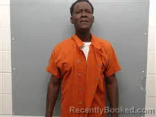 Mugshot of TERRY LYNN CRITTON