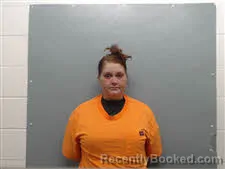 Mugshot of Amber L. McGilton booked in Union County, Arkansas on July 29, 2026