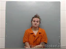 Mugshot of SHELBY NICOLE FRISBY booked in Union County, Arkansas on June 11, 2026