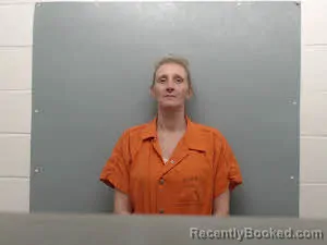 Mugshot of Heather Platt booked in Union County, Arkansas on April 29, 2026