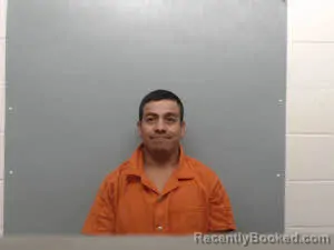 Mugshot of NOE GUADALUPE CASTILLO