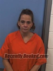 Booking photo from Van Buren County, Arkansas