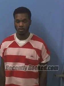 Booking photo from Van Buren County, Arkansas