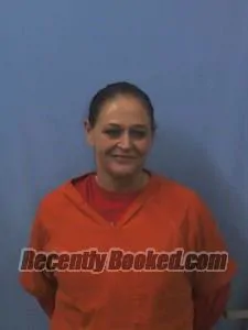 Booking photo from Van Buren County, Arkansas