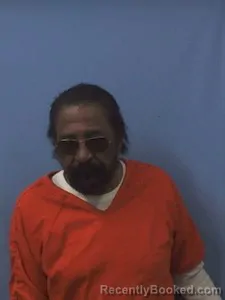 Booking photo from Van Buren County, Arkansas