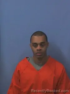 Booking photo from Van Buren County, Arkansas