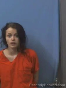 Mugshot of Lindsey Nicole Willard