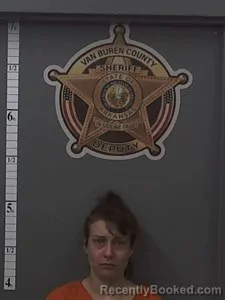 Mugshot of Hannah Elaine Wilson