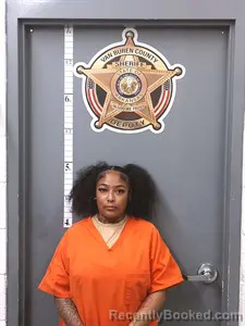 Mugshot of Ruby Rose Luckadue booked in Van Buren County, Arkansas on April 2, 2026