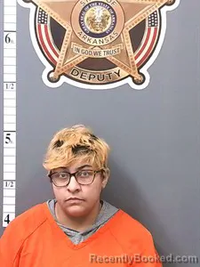 Mugshot of Breyauna Dominique Gray booked in Van Buren County, Arkansas on April 13, 2026