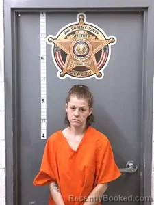 Mugshot of Danielle NICHOLE PORTER booked in Van Buren County, Arkansas on May 2, 2026