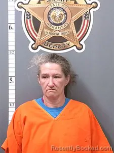 Mugshot of Shannon MYREE CATES booked in Van Buren County, Arkansas on June 4, 2026