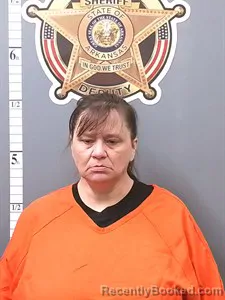 Mugshot of April ELIZABETH HARRIS booked in Van Buren County, Arkansas on June 10, 2026
