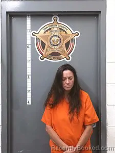 Mugshot of Nancy JANE Fregia booked in Van Buren County, Arkansas on July 2, 2026