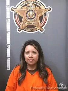 Mugshot of Lisbeth Zarate booked in Van Buren County, Arkansas on July 6, 2026