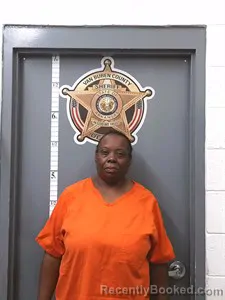 Mugshot of Virgina Ann Ferguson booked in Van Buren County, Arkansas on July 27, 2026