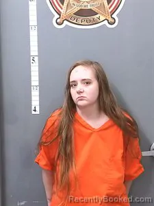 Mugshot of Taylor Leann Nagel booked in Van Buren County, Arkansas on September 3, 2026