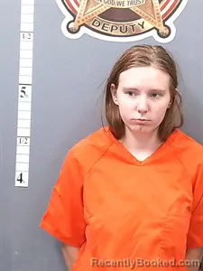 Mugshot of Lynnz Jo Hunter booked in Van Buren County, Arkansas on September 4, 2026