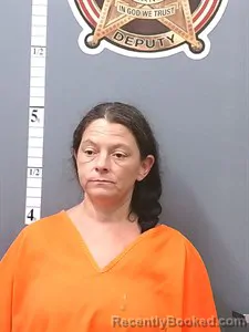 Mugshot of Christina Mae Pearson booked in Van Buren County, Arkansas on September 8, 2026
