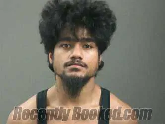 Booking photo from Washington County, Arkansas