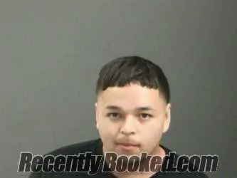 Booking photo from Washington County, Arkansas