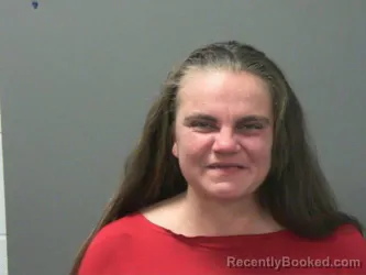 Booking photo from Washington County, Arkansas