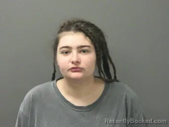 Booking photo from Washington County, Arkansas