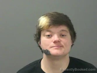 Mugshot of Bianca Spears