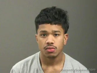 Mugshot of Annson Bosin