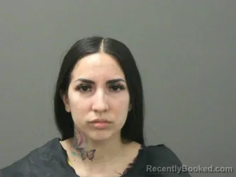 Booking photo from Washington County, Arkansas