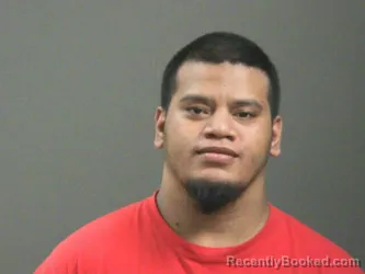 Mugshot of Wilmer Napken