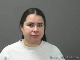 Booking photo from Washington County, Arkansas