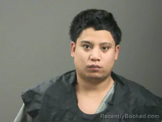 Mugshot of Johnsay Helmi