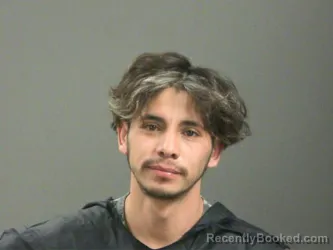 Mugshot of Wilber Flores