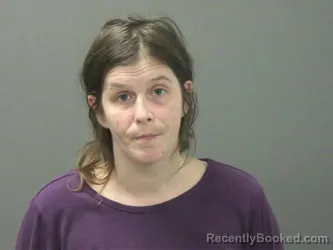 Mugshot of Lisa Dominguez