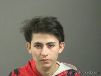 Mugshot of David Fajardo-Romero