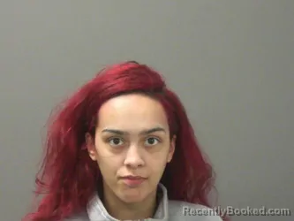 Mugshot of Sarah Fullerton