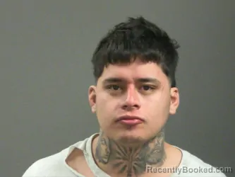 Booking photo from Washington County, Arkansas