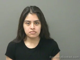 Booking photo from Washington County, Arkansas