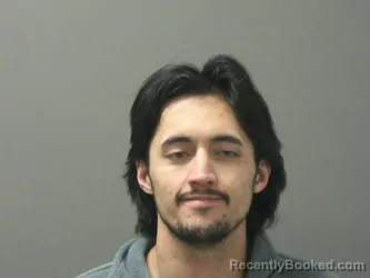 Mugshot of Alexander Gibney